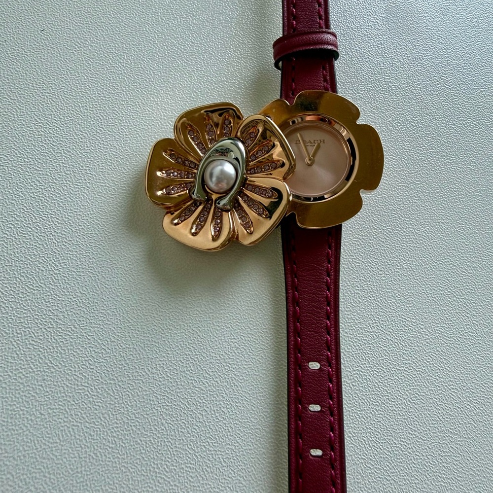 Coach Women's Tea Rose Quartz Pink Dial Watch - RARE! - Picture 8 of 9